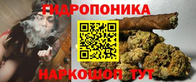 скорость Канаш