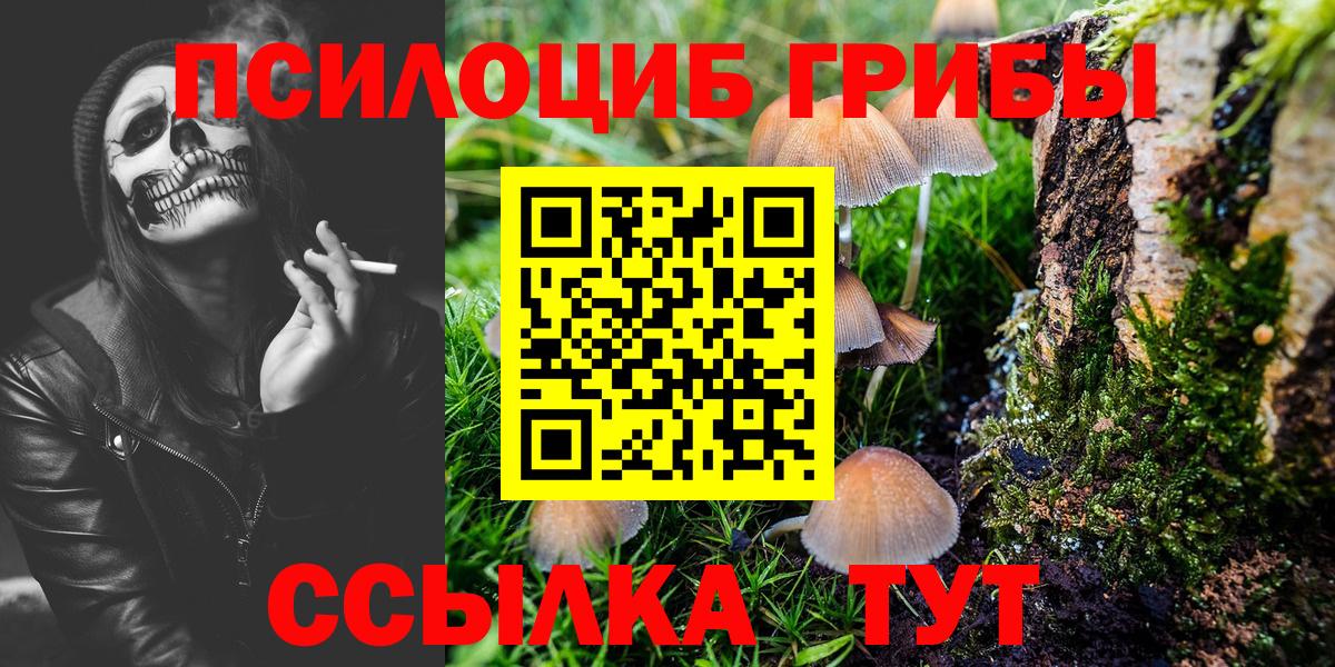 Курчатов  Псилоцибиновые грибы мухоморы  Вход с VPN 